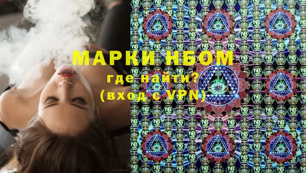 дживик Бронницы