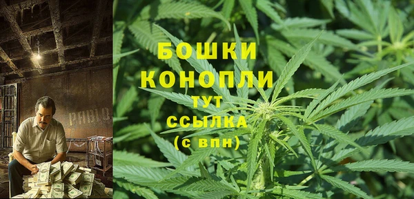 дживик Бронницы