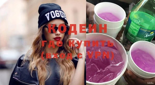 дживик Бронницы