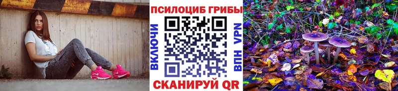 hydra ССЫЛКА  Павлово  Псилоцибиновые грибы мухоморы 